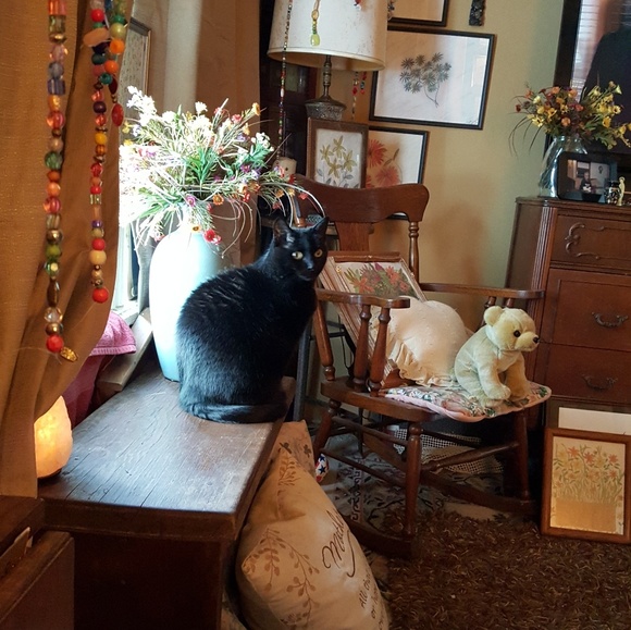 Meet your Posher, Carrie - Picture 6 of 8